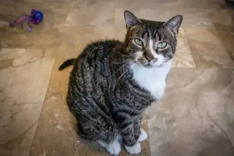 Othello photo 3