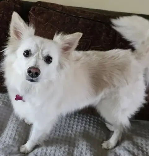 Diva Of Md photo 3