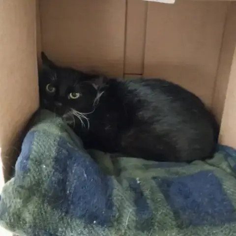Delilah photo 2