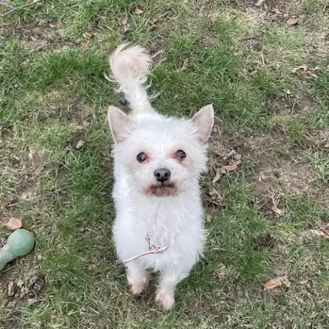 Milton