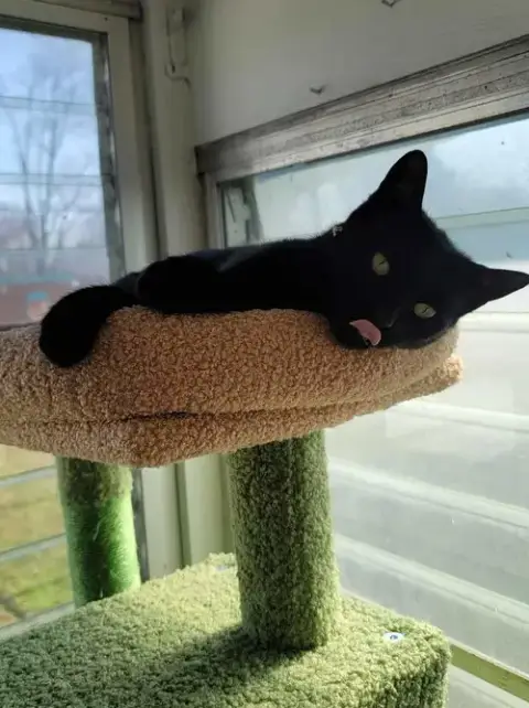 Kiki photo 4