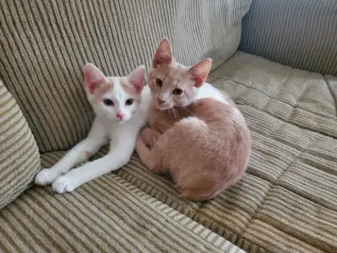 Magical photo 3