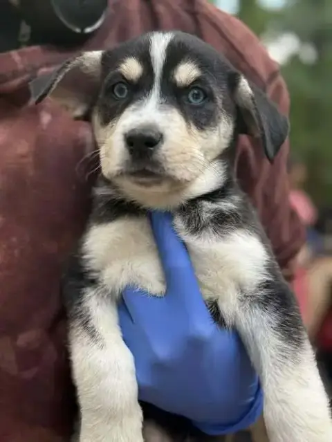 Marco