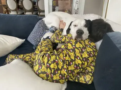 Finn photo 4