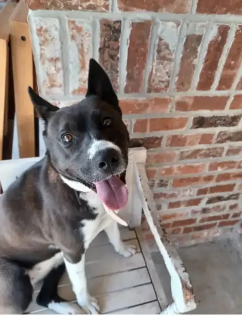 Angel- Just Missing Her Wings
