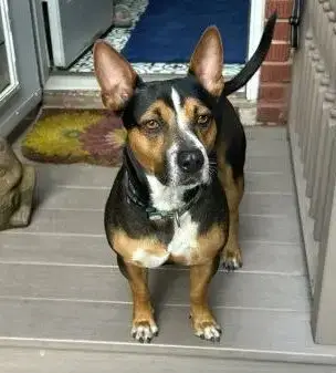 Xp Brody photo 3