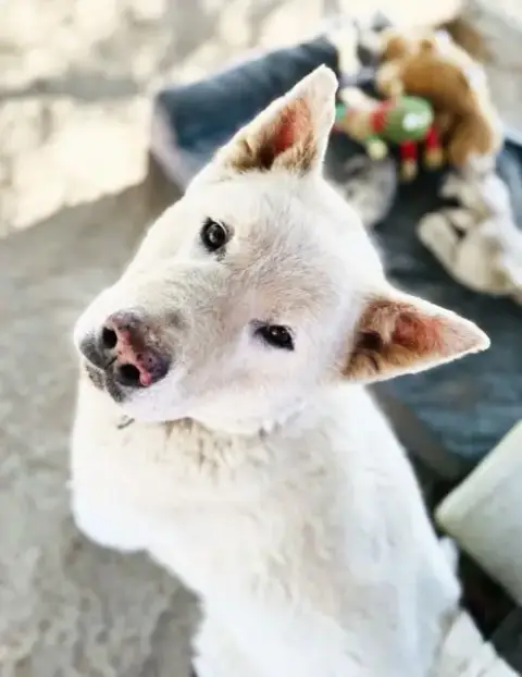 Luna