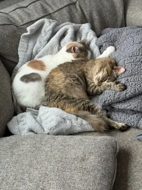 Ethel / Beverly photo 2