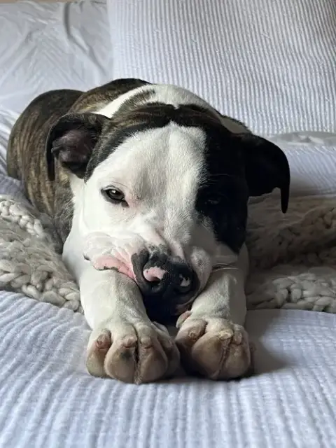 Jax photo 2