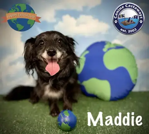 Maddie photo 2