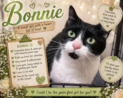 Bonnie photo 5