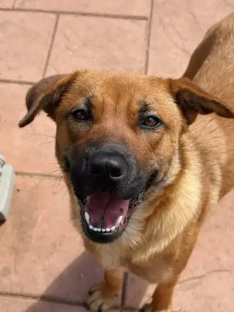 Harper photo 4