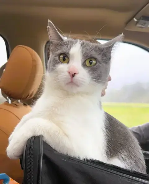 Tinker
