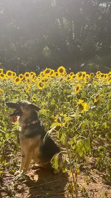Maggie photo 4