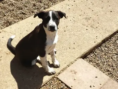 Shirley photo 2