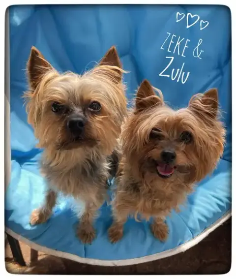Zeke & Zulu