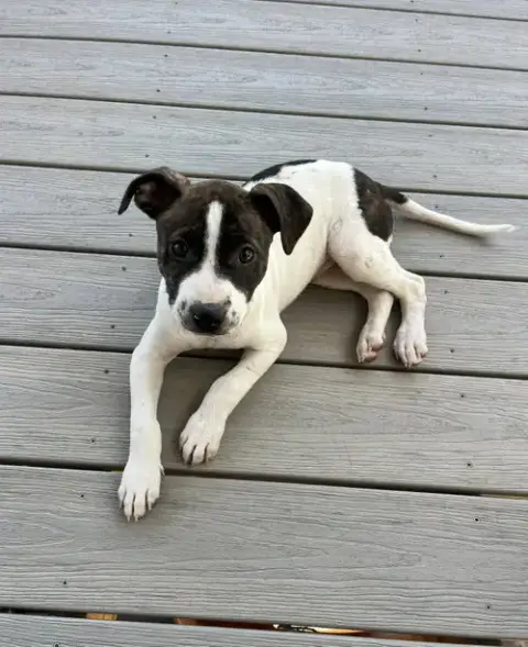 Sadie #13