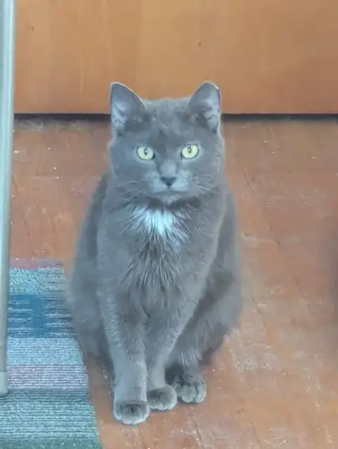 Luna photo 2