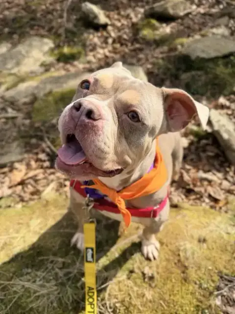 Coco