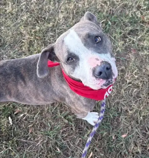 Pretty Princess Foster Needed Too! photo 2