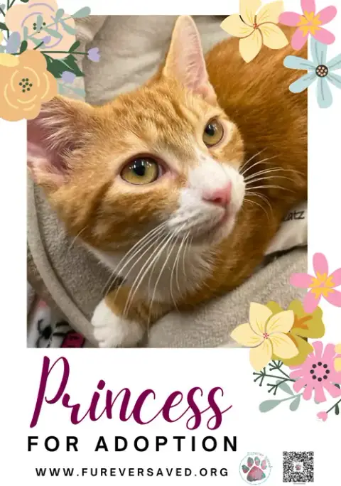 Princess photo 3