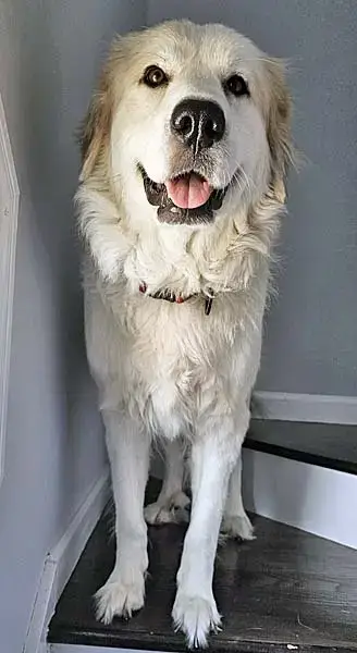 Sunnie In Nc photo 2