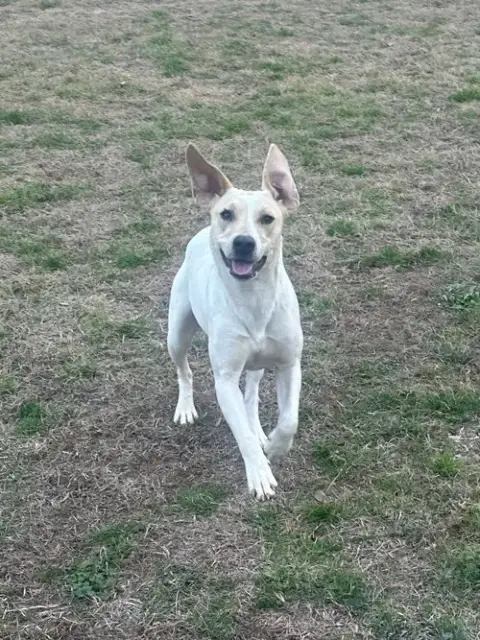 Penny photo 2