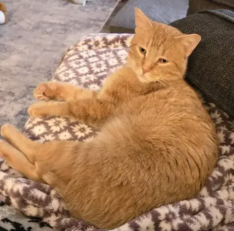 Jack
