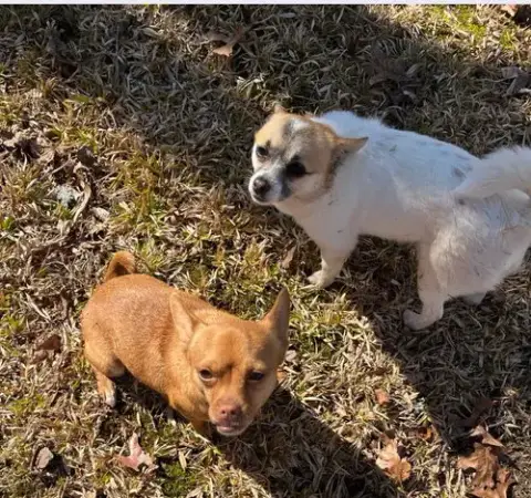 Mia & Shari
