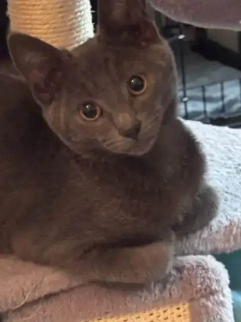 Cruz