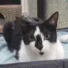 Winnie