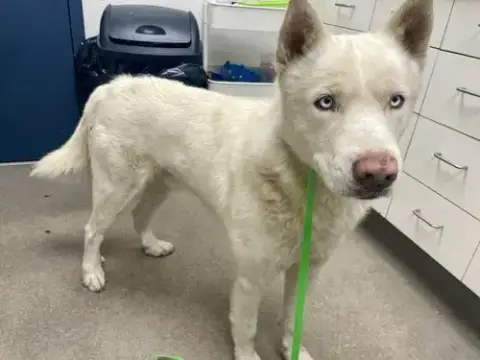 Ragnar