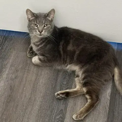 Finn photo 3