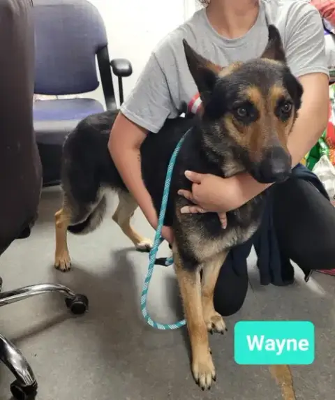 Wayne-Sponsored photo 4