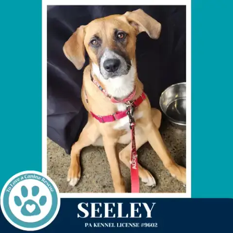 Seeley
