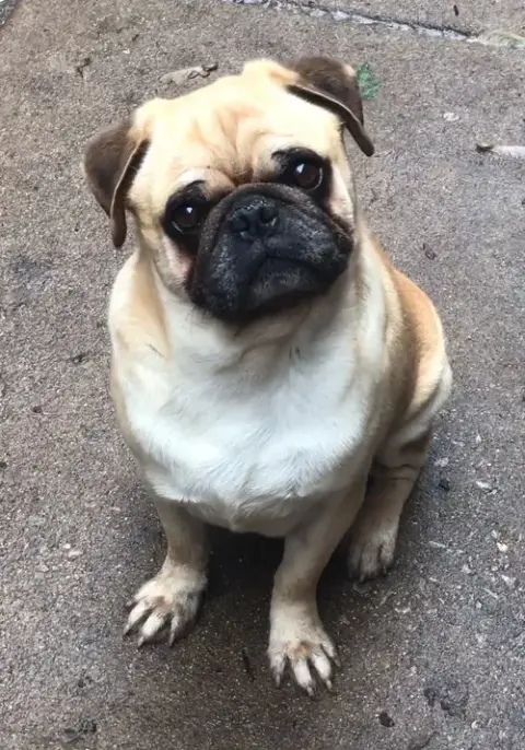 Sam photo 2