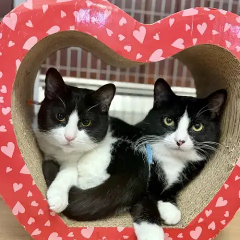 Edward & Scottie