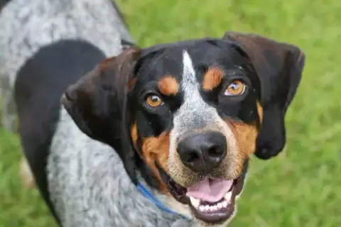 Russ photo 4
