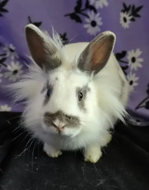 Evie photo 2