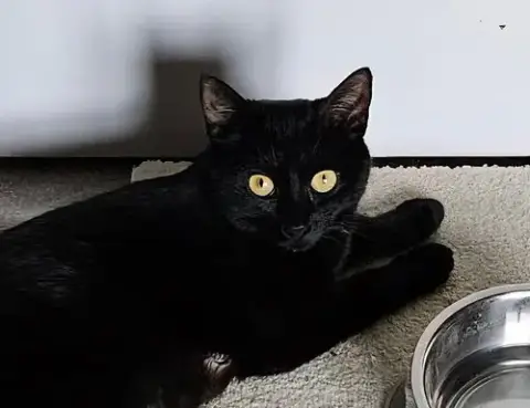 Minnie