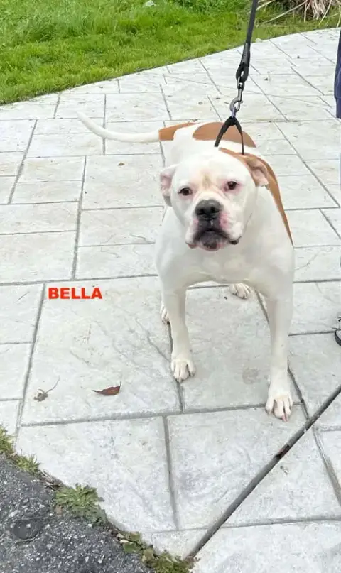 Bella photo 3