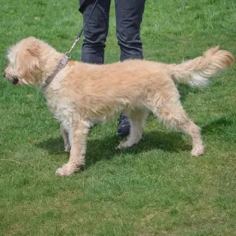 Marley Moo photo 4