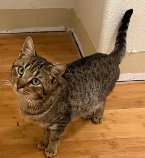 Tony