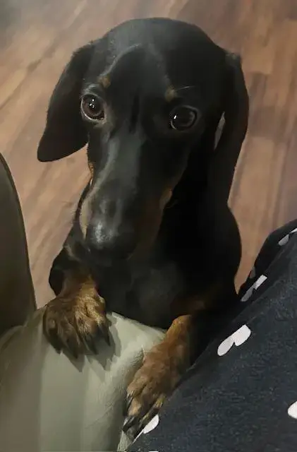 Rocky