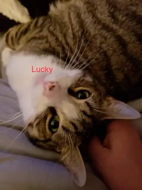 Lucky R photo 2
