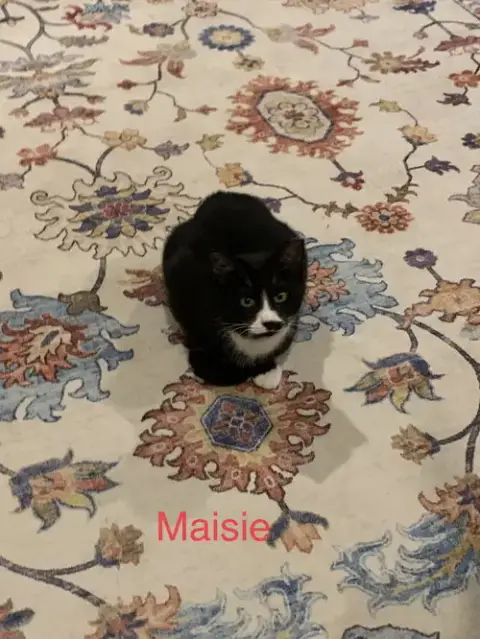 Courtesy List:  Maisie
