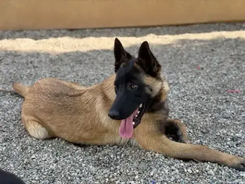 Pedro In Ca photo 4