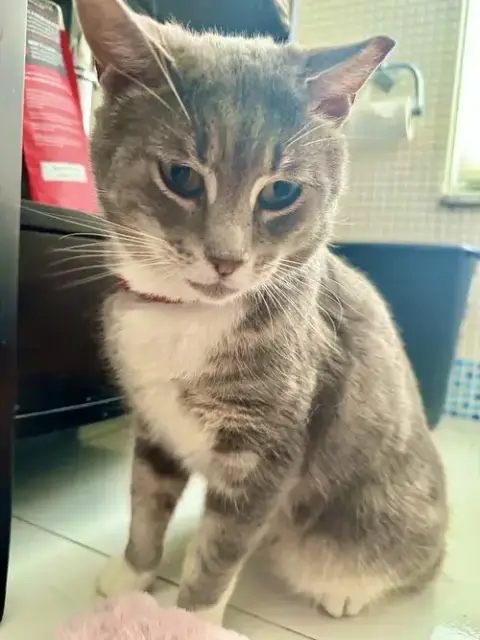 Grumpy