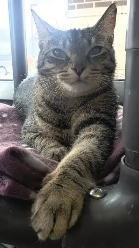 Kiki