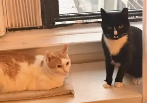 Lucy & Ricky